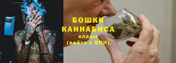 ПСИЛОЦИБИНОВЫЕ ГРИБЫ Краснотурьинск