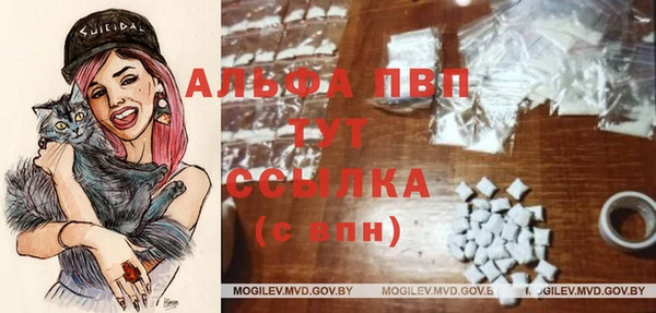 дмт Краснослободск