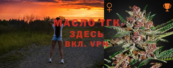 дмт Краснослободск