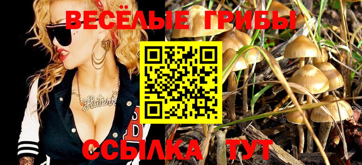 Галлюциногенные грибы прущие грибы Горно-Алтайск