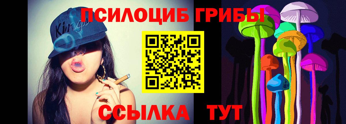 Псилоцибиновые грибы мухоморы Горно-Алтайск