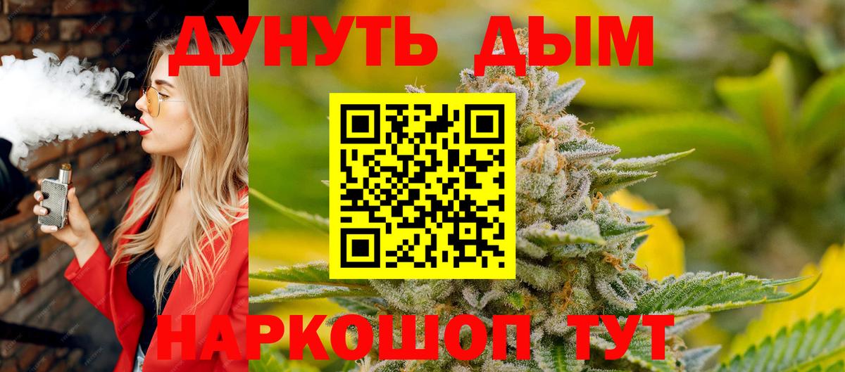 Конопля Ganja  Конопля сатива  Горно-Алтайск 